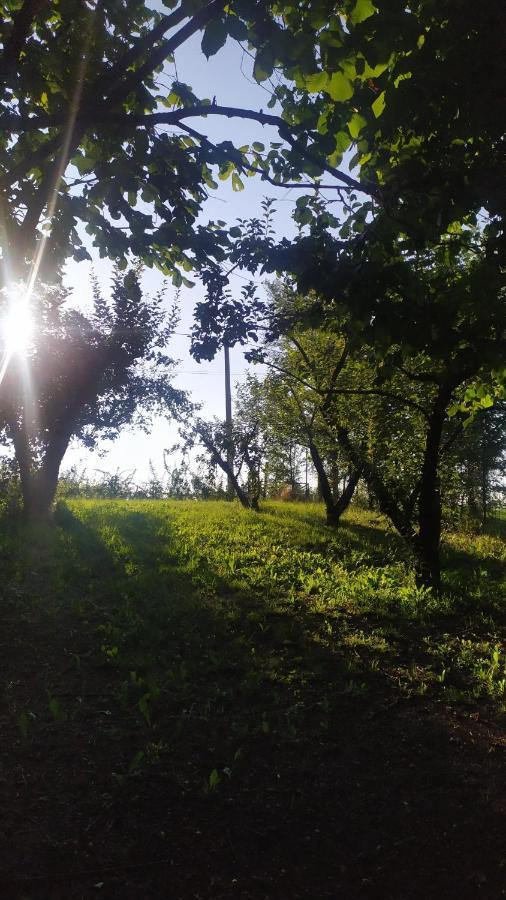 B&B Naturin - Cascina Colombaro Lauriano Exterior foto