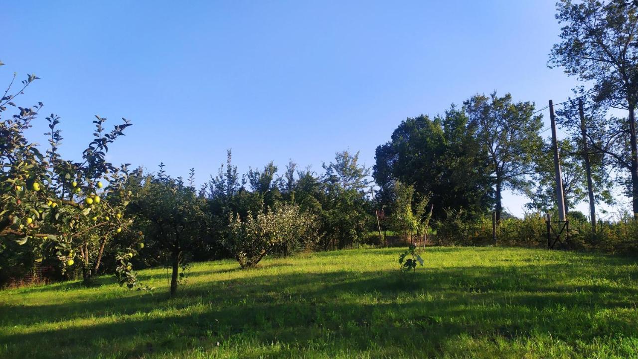 B&B Naturin - Cascina Colombaro Lauriano Exterior foto