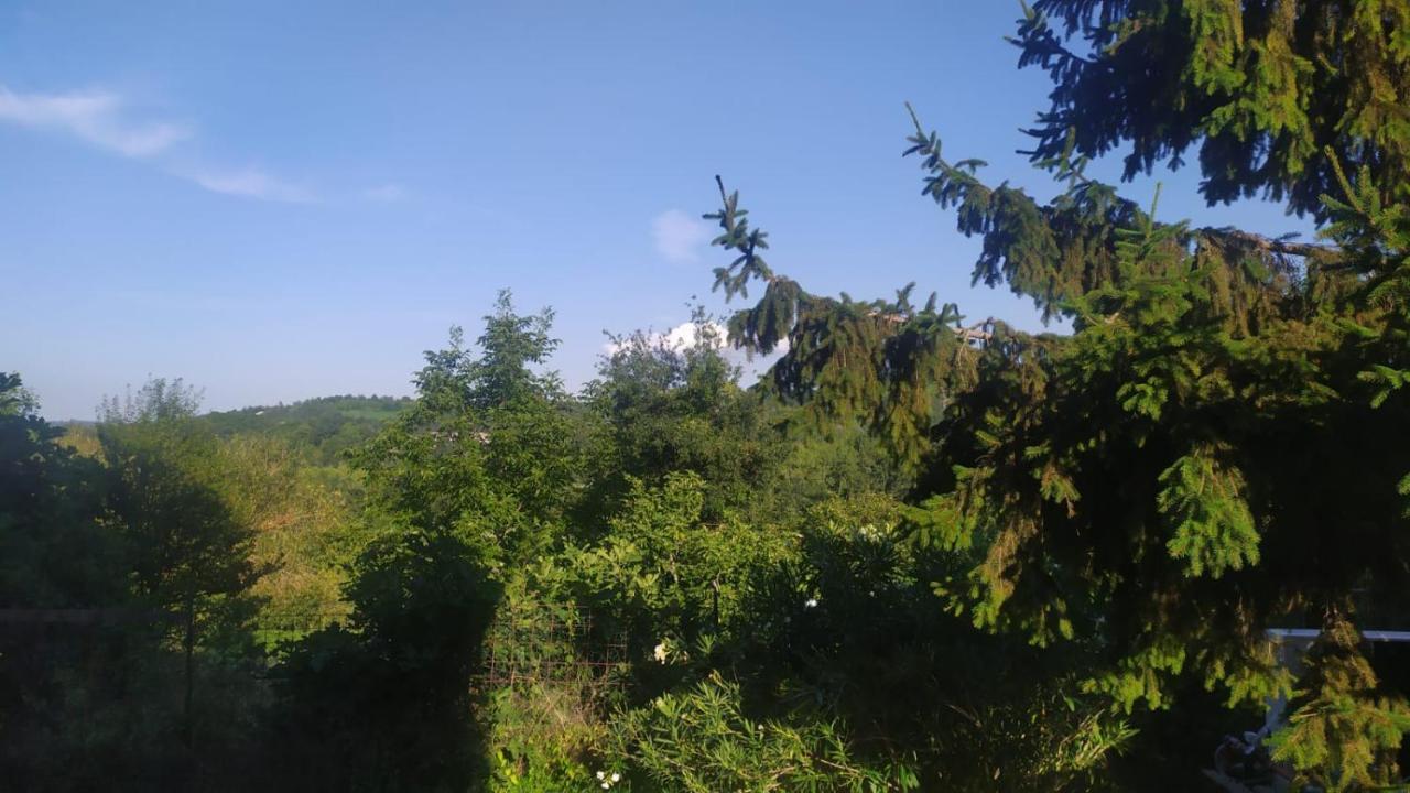 B&B Naturin - Cascina Colombaro Lauriano Exterior foto
