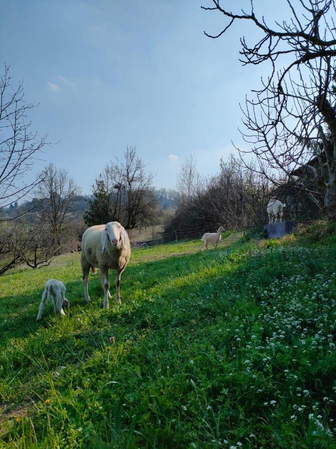 B&B Naturin - Cascina Colombaro Lauriano Exterior foto