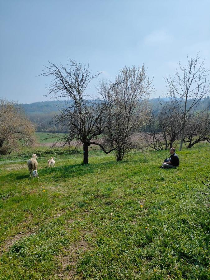 B&B Naturin - Cascina Colombaro Lauriano Exterior foto